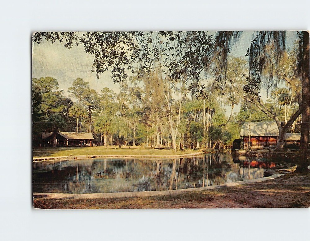 Postcard Juniper Springs Recreation Area Ocala National Forest Florida USA
