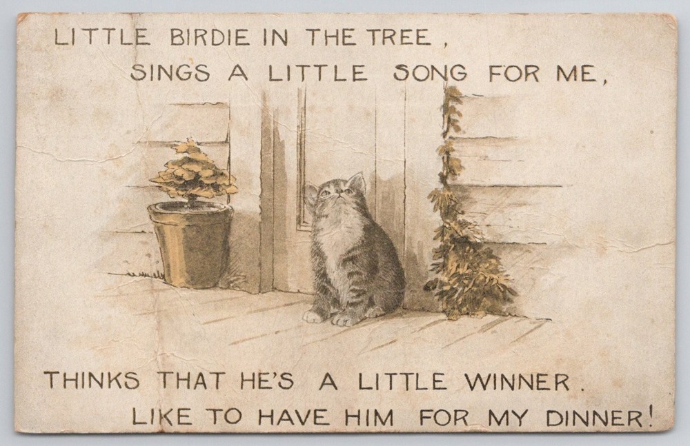 1916 Cat & Birdie Poem Postcard, Rochester NY, Cute Kitten Vintage