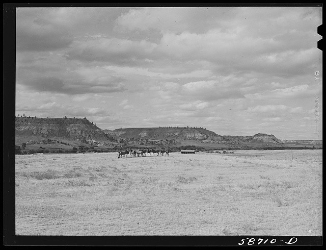 Photo:Lame Deer Montana Ranch Horses Grazing Land 1930s Landscape