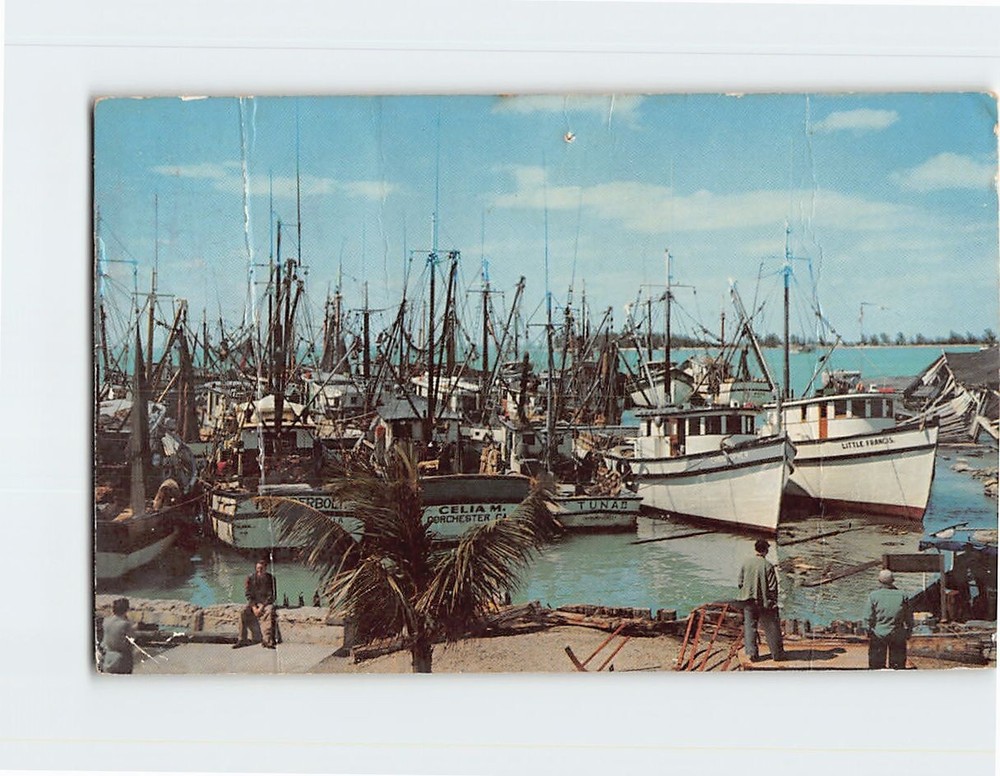 Postcard Shrimp Fleet Key West Florida USA
