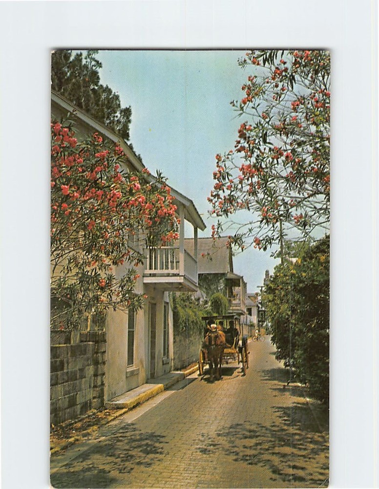 Postcard Aviles Street with Horse Drawn Carriage St. Augustine Florida USA