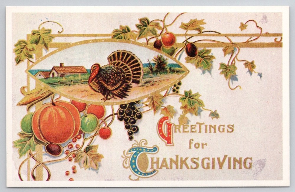 Vintage Thanksgiving Postcard Embossed Turkey Pumpkin Grapes Autumn Greetings