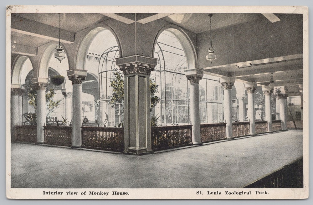 St Louis Missouri~Zoological Park~Monkey House Interior View~Vintage Postcard