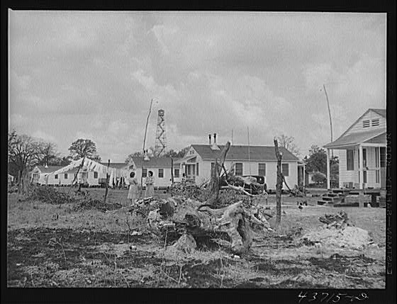 Photo:At Hazlehurst Farms Inc., Hazlehurst, Georgia