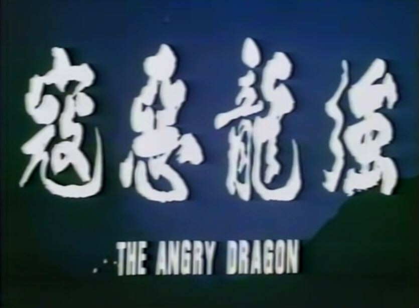 ANGRY DRAGON VHS 1974 Factory Error Has NINJA TERMINATOR Videocassette Box MNTEX