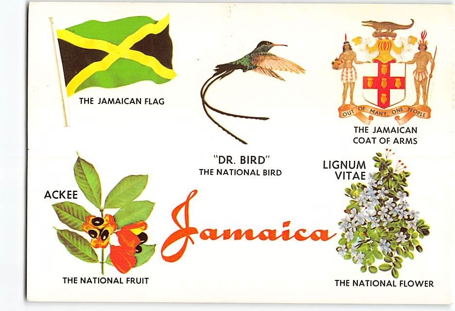 Postcard National Bird, Flower, Fruit, Coat of Arms & Flag Art Print