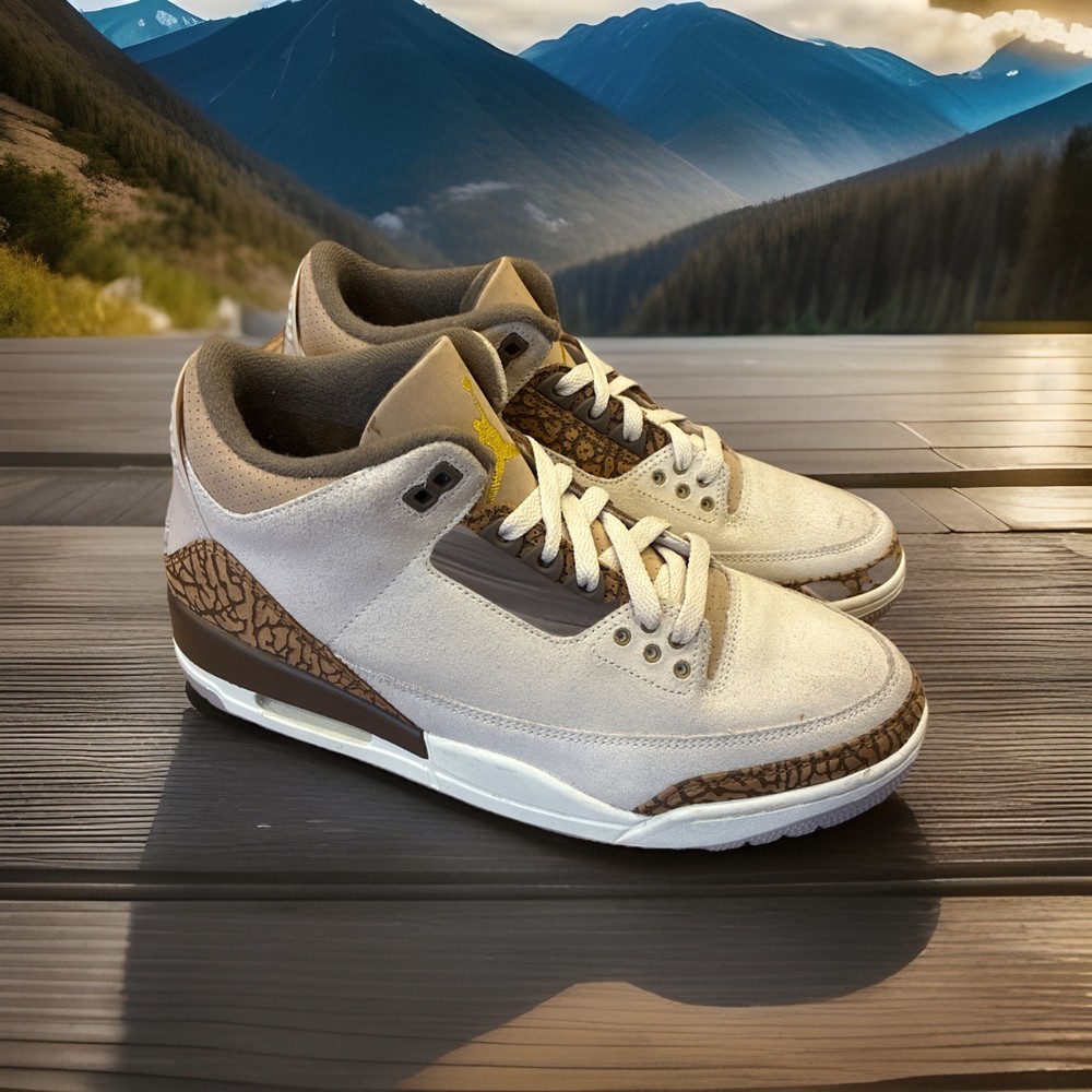 M097) Nike Air Jordan 3 III Retro Palomino Brown Ct8532-102 Men’s Size 9