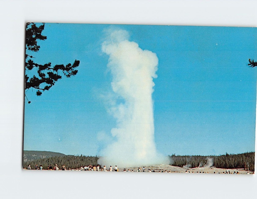 Postcard Old Faithful Geyser Yellowstone National Park Wyoming USA
