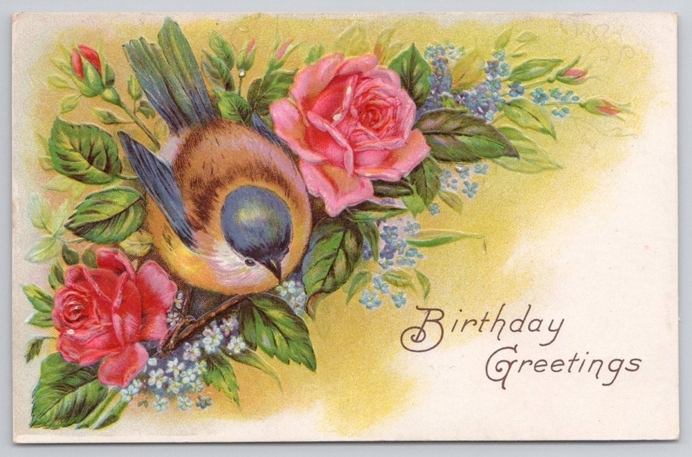 1911 Birthday Greetings Postcard Bird Roses Flowers Hampton NJ Postmark