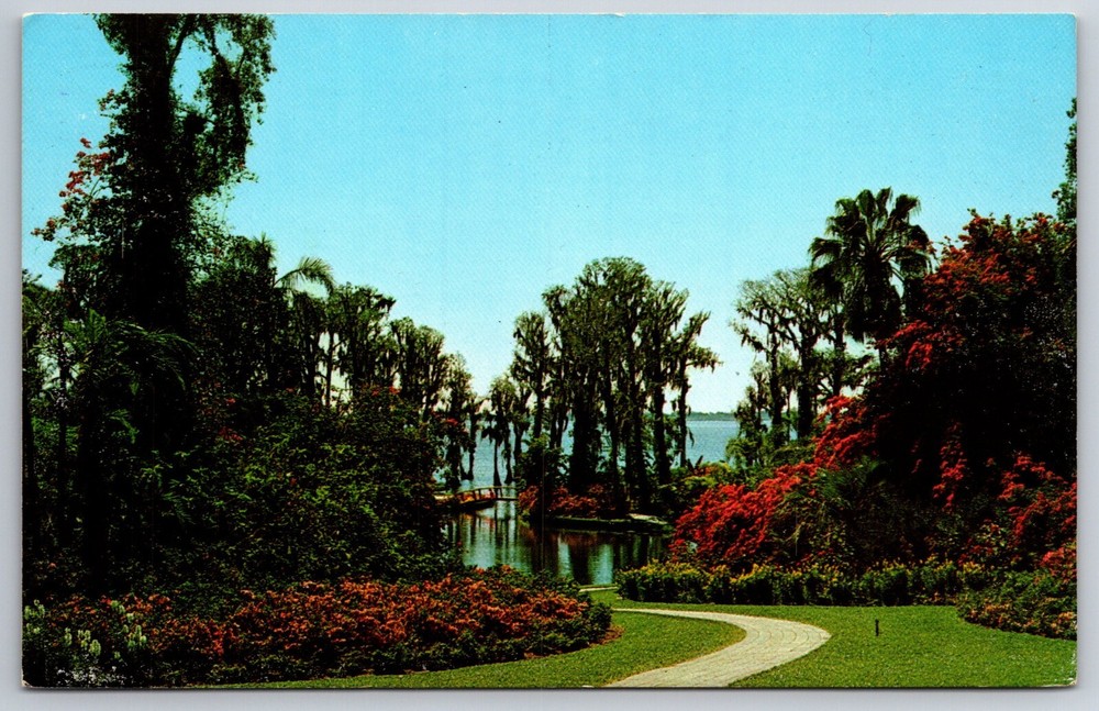 Flowers~Florida~Tropical Vegetation @ Cypress Gardens~Koppel Vintage Postcard
