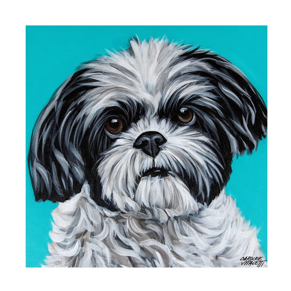 Canvas Wall Art - Carolee Vitaletti 'Black and White Shih Tzu' Wall Art for L...