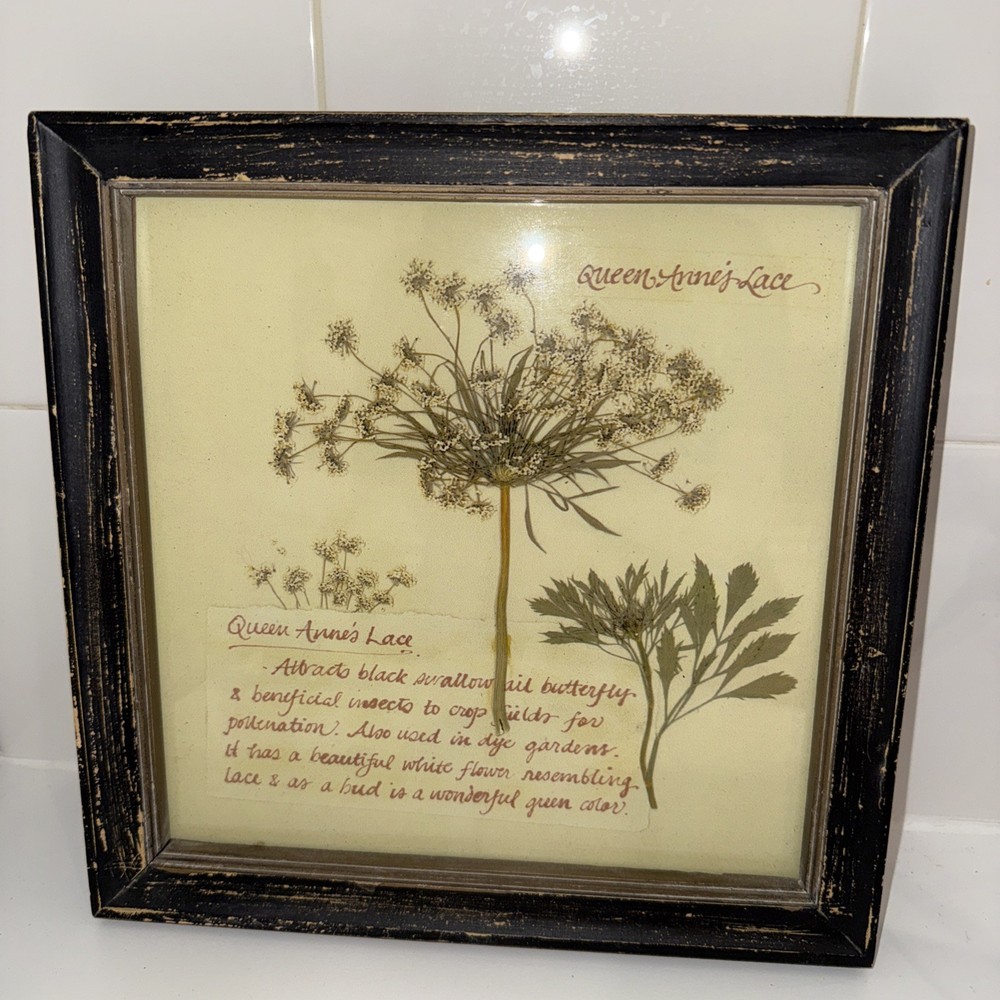 Rustic Botanical Wall Art Print by Creative Co-op 10x10 Inches