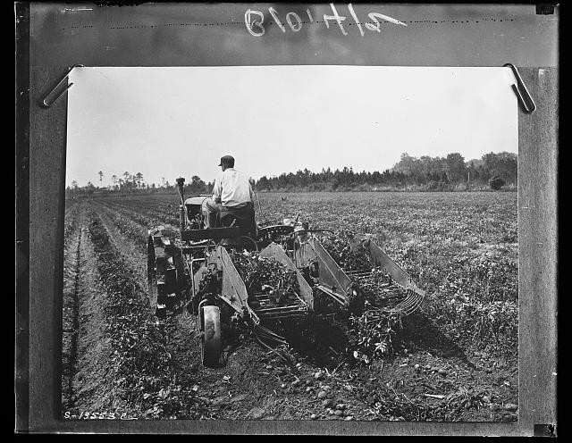Photo:1910s Tractor Potato Harvester Farm Field Agricultural Machine