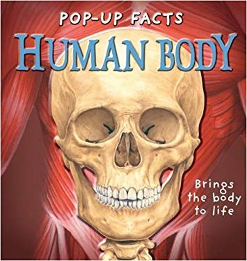 Human Body Hardcover R. DungworthFree US Delivery | ISBN:1840117206