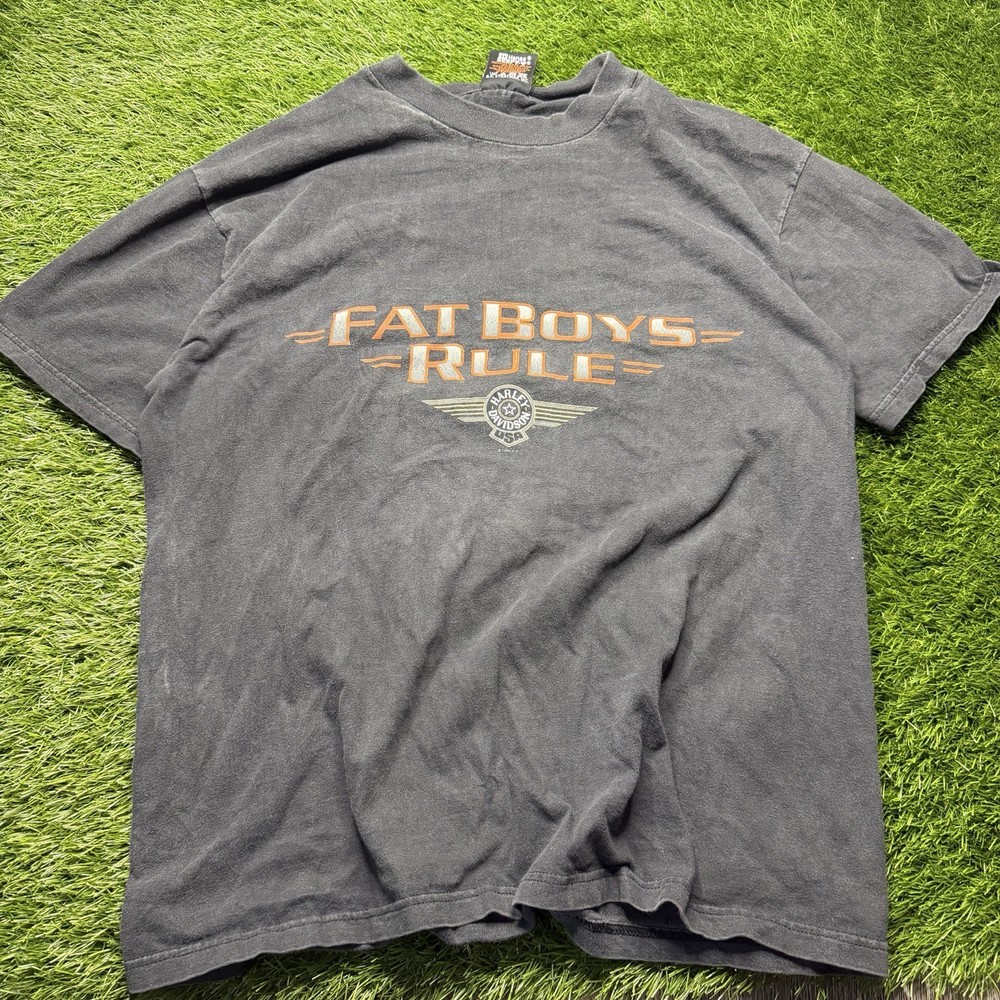 Vintage Mens Harley-Davidson ohio “fat boys rule” on hanes beefy-T tag size L