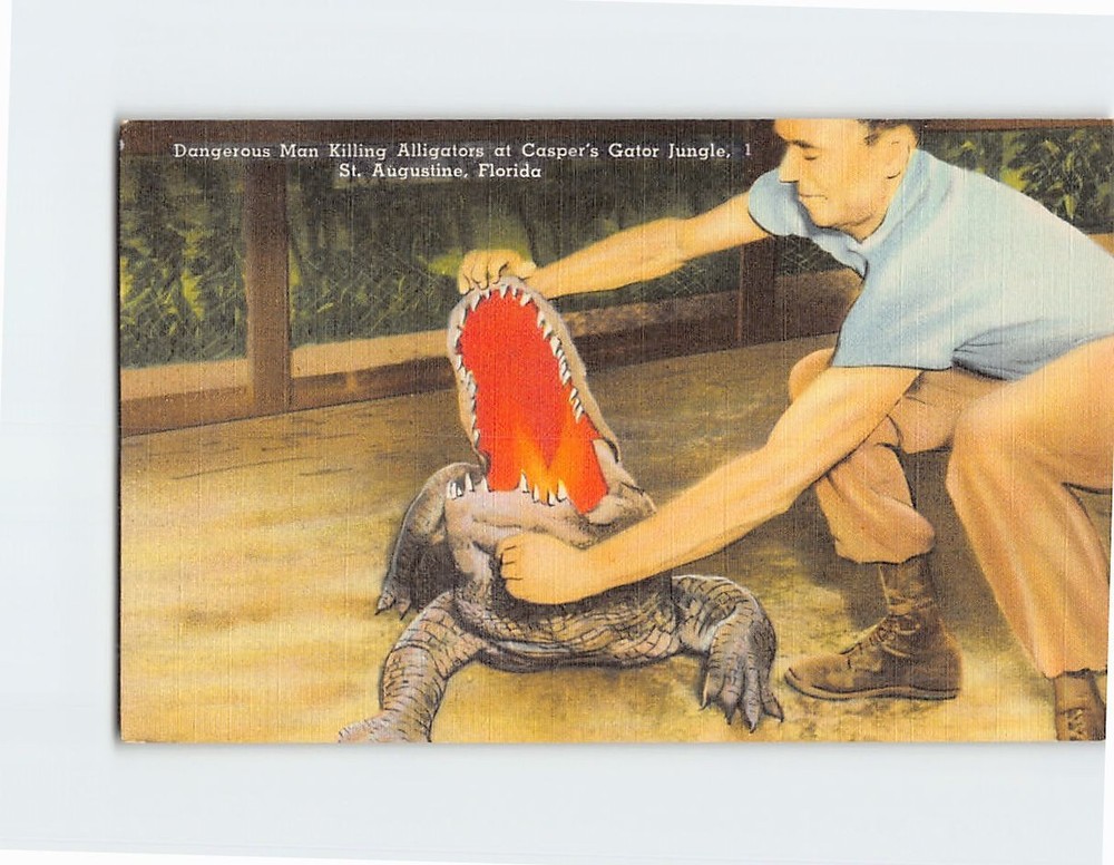 Postcard Dangerous Man Killing Alligators at Caspers Gator Jungle Florida USA