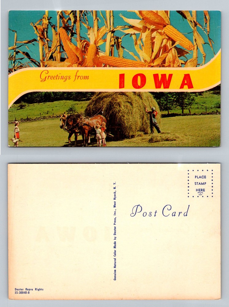 Iowa, IA-Iowa, Greetings Farm Scene Corn Harvest Hay Wagon Vintage Postcard