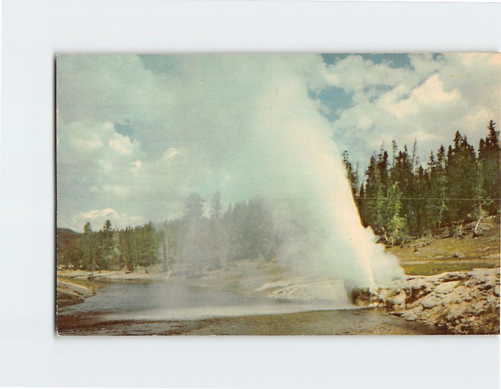 Postcard Riverside Geyser Yellowstone National Park Wyoming USA