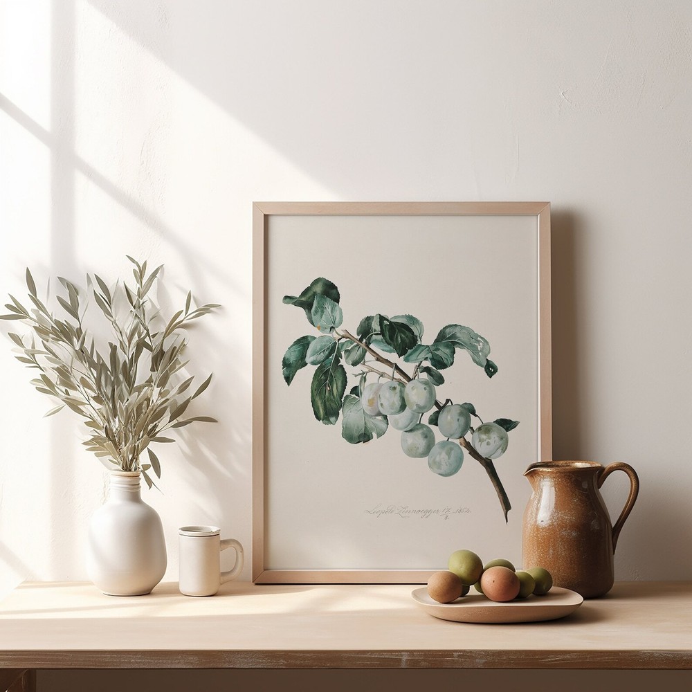 Kitchen Art Print Vintage Art Botanical Grape Wall Decor Green Grape Art Print