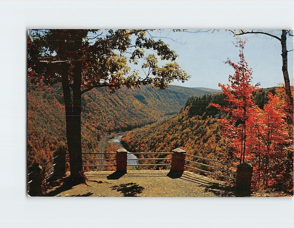 Postcard South View from Lookout Colton Point State Park of Pennsylvania USA