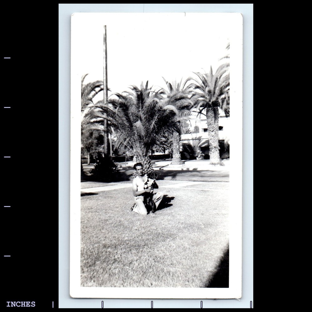 Vintage Photo MAN WITH DOG BY PALM TREE