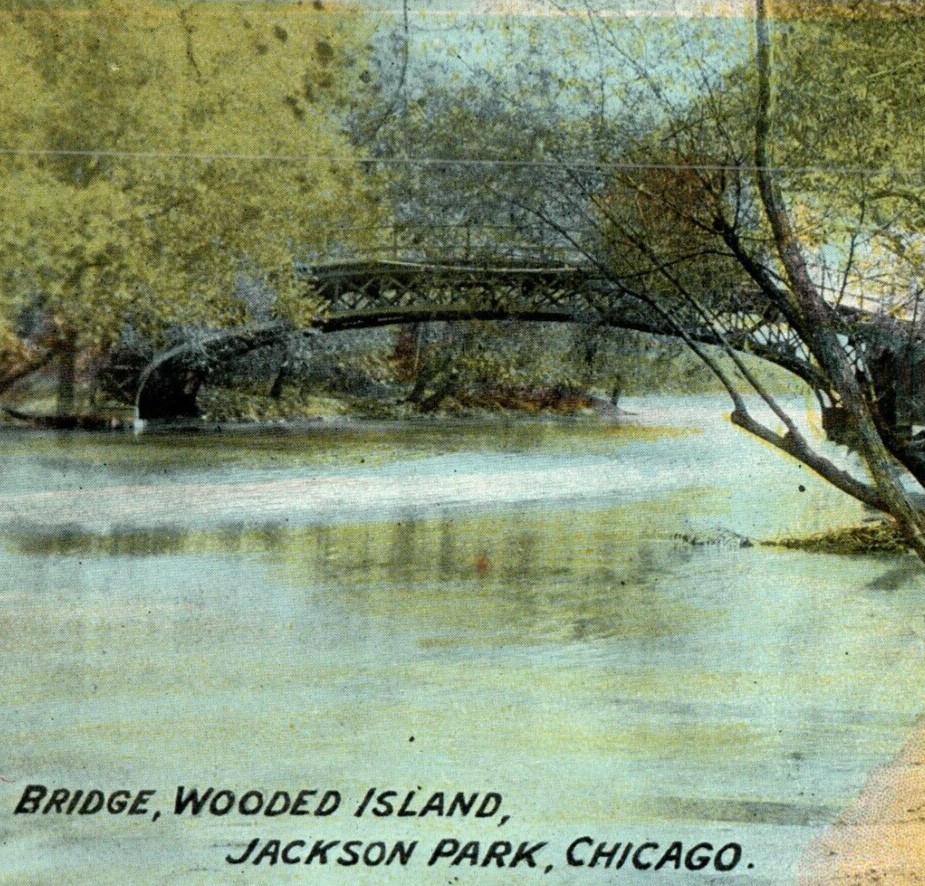 Bridge Wooded Island Jackson Park Chicago Trees Lake River Vintage Postcard A8