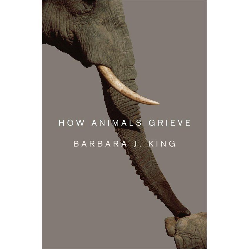 How Animals Grieve by Barbara J. King (2013, Hardcover)