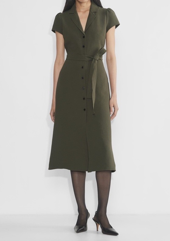 Aritzia Wilfred Shirt Dress size M Dark Olive