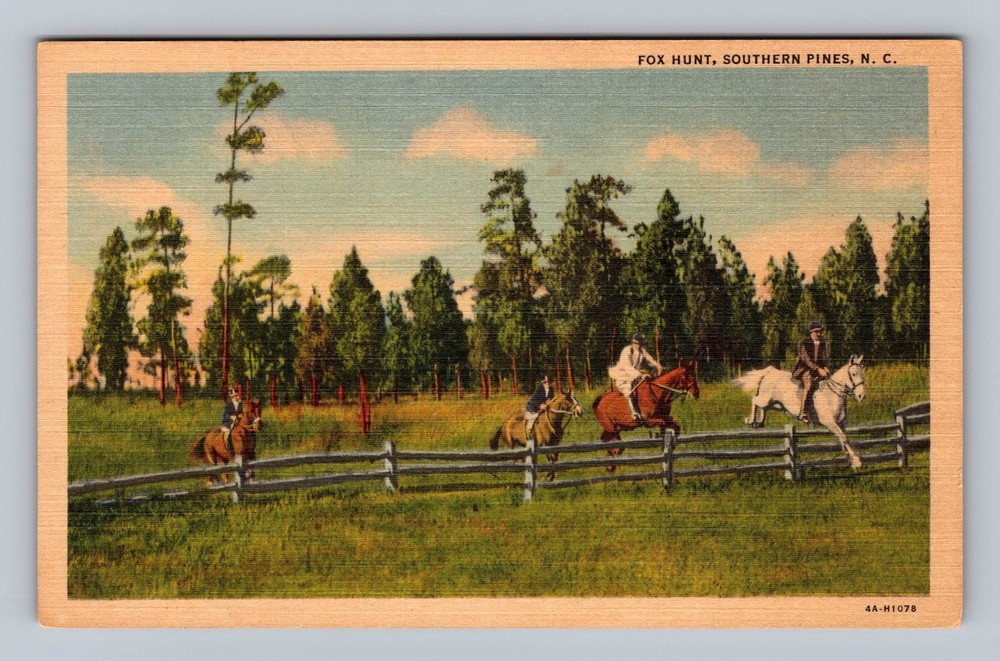 Southern Pines NC-North Carolina Fox Hunt Vintage Postcard Standard Souvenir PC