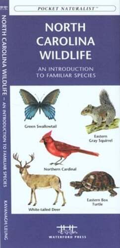 Explore Texas Wildlife with James Kavanagh’s Guide to Familiar Species: Pre-Owned Edition