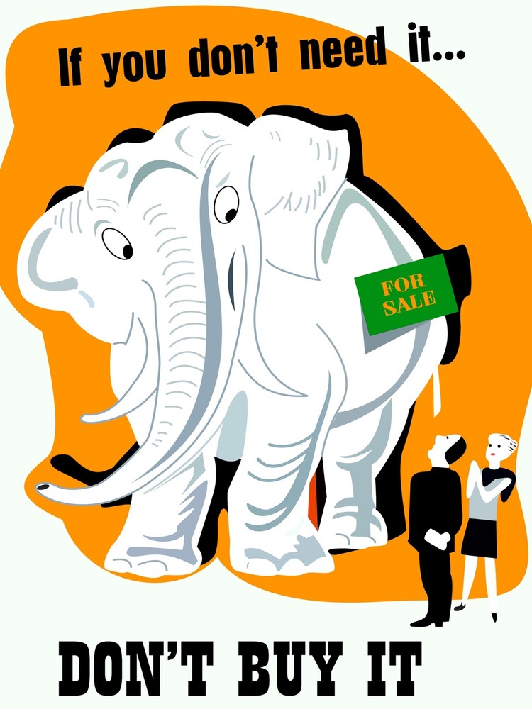 Elephant for sale Decorative Poster. Fine Graphic Art. Interior Design. 2569