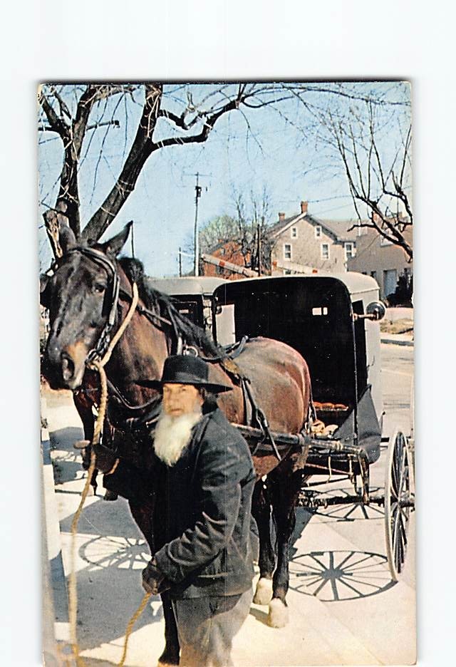 Postcard Amish Bishop with his Horse and Wagon Intercourse Pennsylvania USA