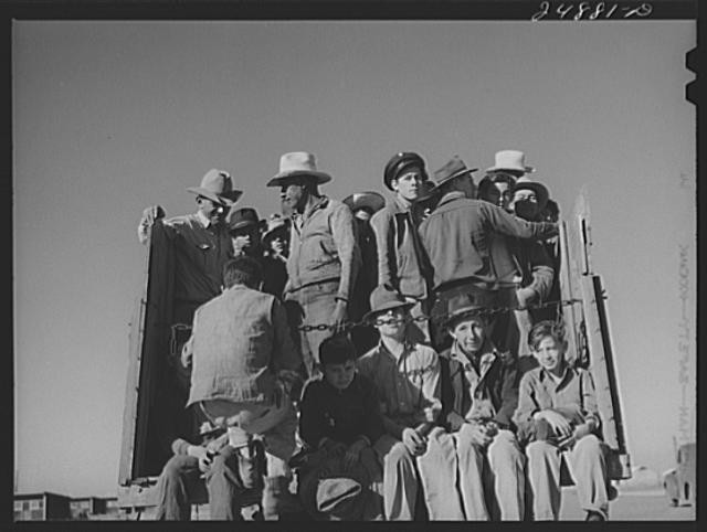 Photo:Migratory workers returning from day's work. Robstown camp, Texas