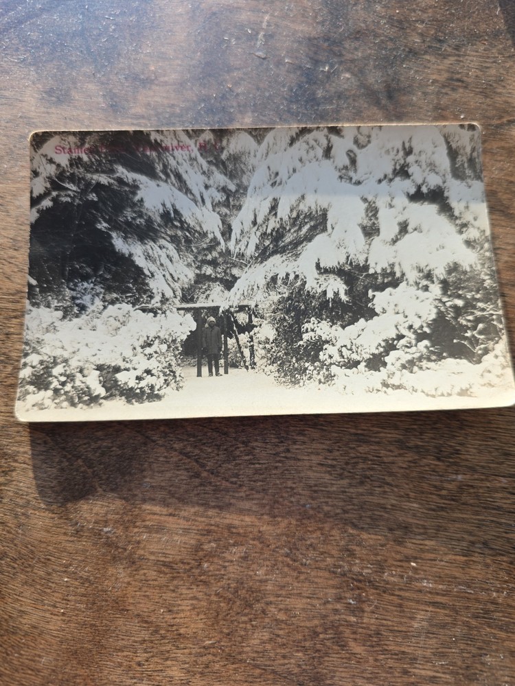 Antique Postcard British Columbia CanadaStanley Park, BC