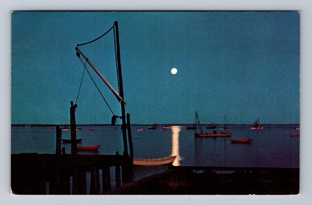 Douglas MI-Michigan Lake Shore Drive Greetings Vintage c1955 Postcard