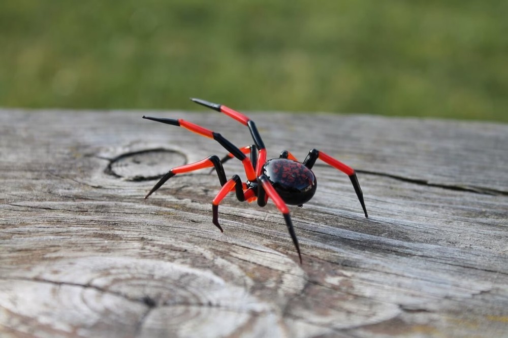 Glass Spider Figurine Handcrafted Art Glass Decor Unique Gift for Collectors