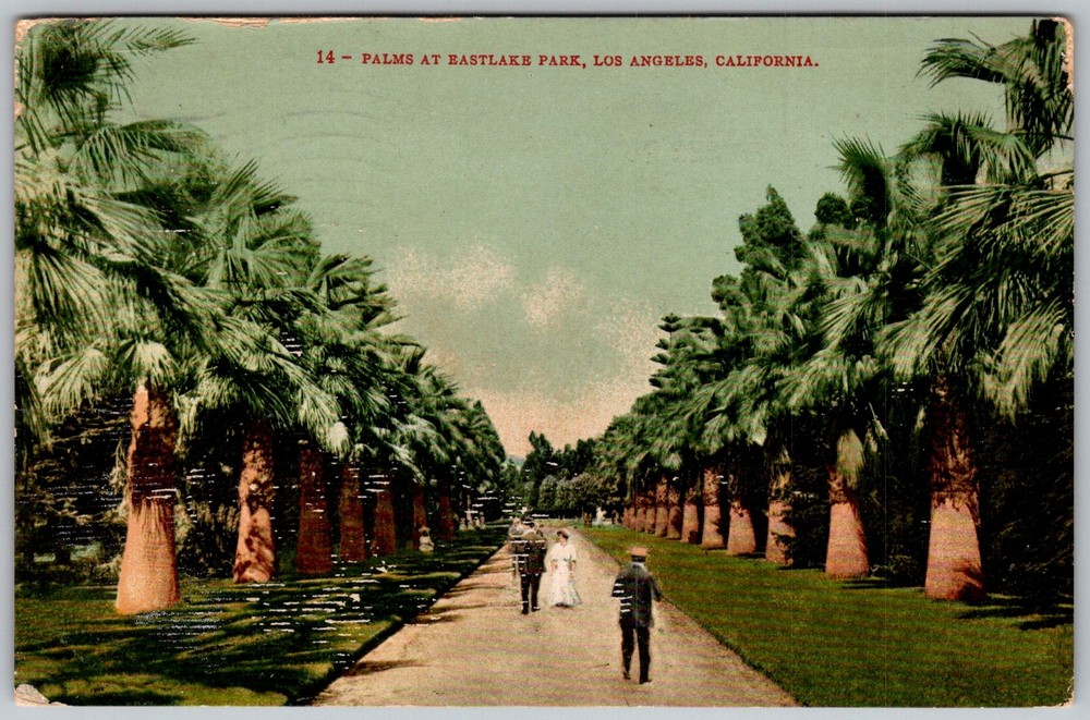 Antique Postcard Palms Eastlake Park Los Angeles, CA 1910s