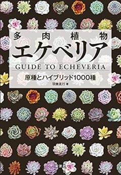 ”Succulent Echeveria Guide To Echeveria” Book Japan book form JP