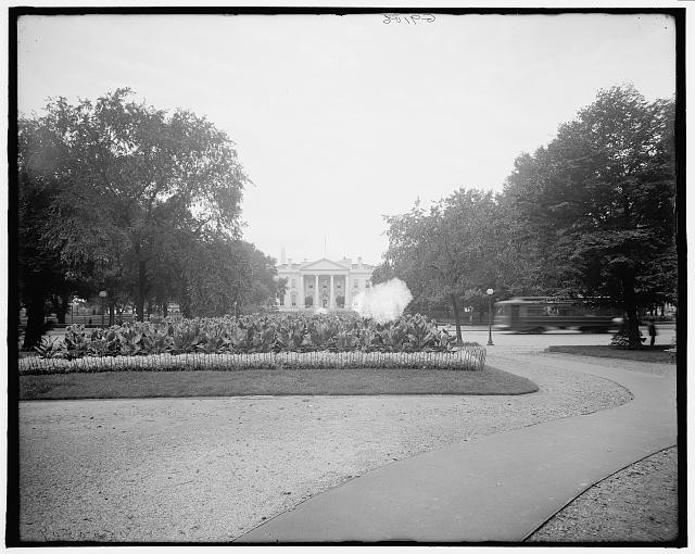 Photo:White House from Lafayette Park, Washington, D.C.