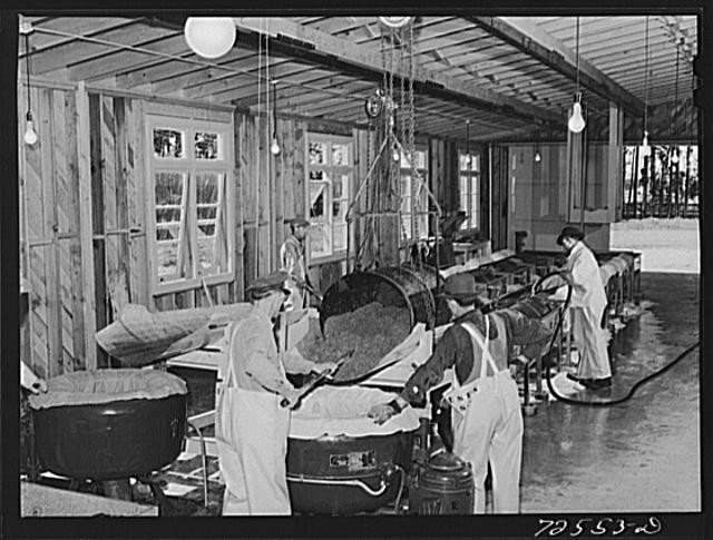 Photo:Salinas, California. Treating room for guayule seed
