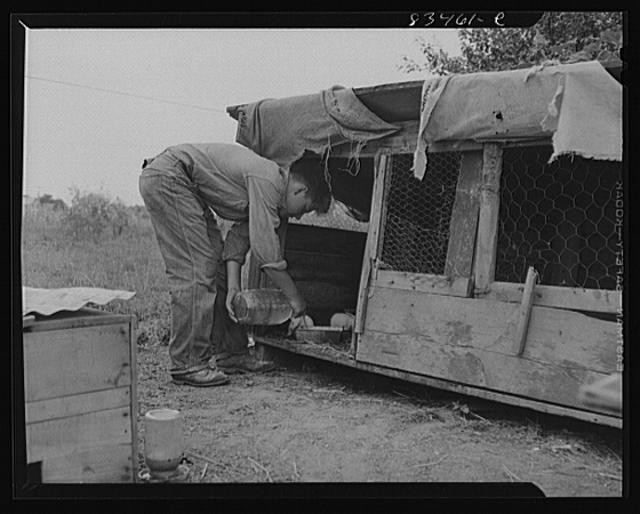 Newport,New Jersey,NJ,Cumberland County,Farm Security Administration,FSA,3