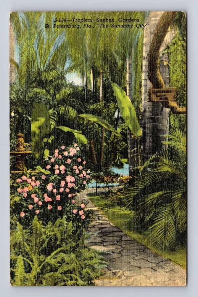 St Petersburg FL-Florida, Tropical Sunken Gardens, Antique, Vintage Postcard