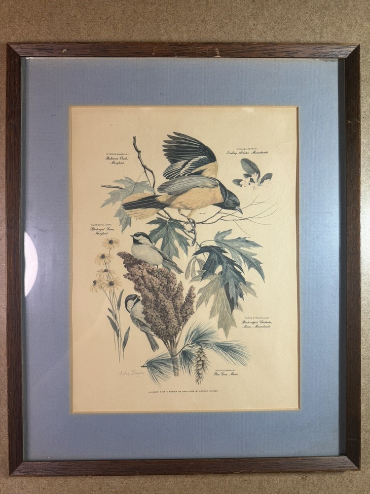 Vintage Bird Print by Arthur Singer - Framed - Series 8 - 13.75”x16.75”
