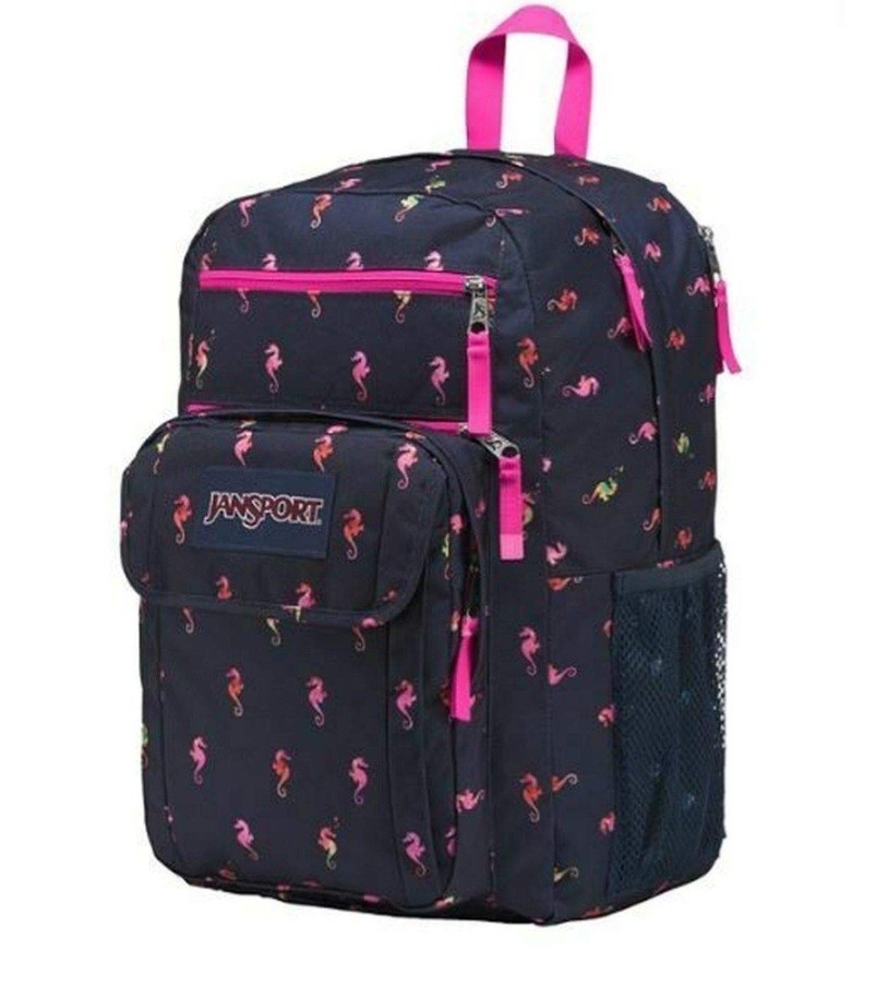 NWT JANSPORT Backpack 15