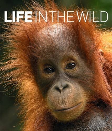 Life in the Wild (Dk) By Thomas Marent