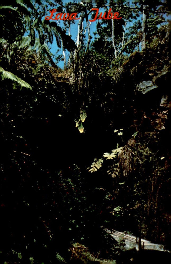 Thurston Lava Tube, Hawaii Volcanoes National Park Postcard