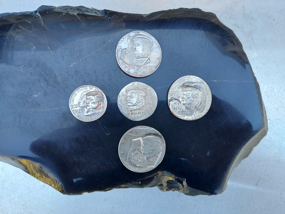 1964 Hobo Nickel Half Dollar Trump Genuine Signature