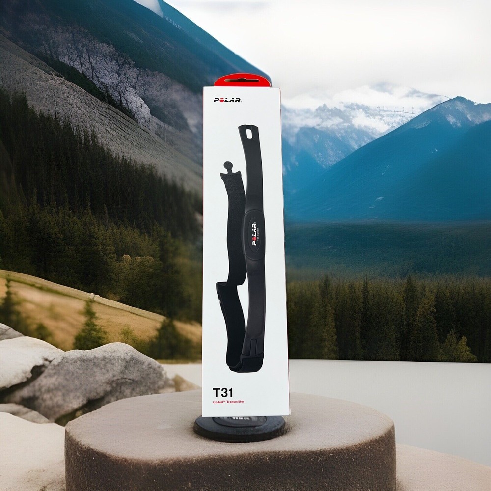 Polar T31 Coded Chest Transmitter and Medium Elastic Strap - Black Newly Updated