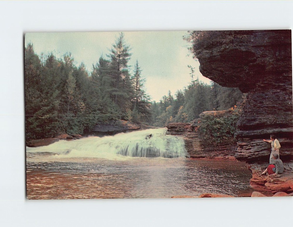 Postcard Swallow Falls Oakland Maryland USA