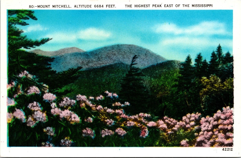 Mount Mitchell Highest Peak East of Mississippi North Carolina Vintage Postcard